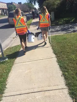 Volunteers walk along sidewalk looking for litter.