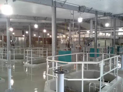 Inside the Water Purification Plant