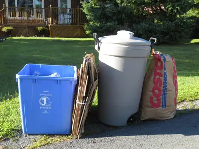 Waste collection containers at curb